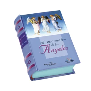 Al encuentro de los Ángeles