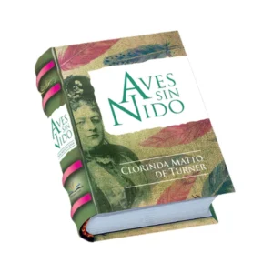 Aves sin Nido, Clorinda Matto de Turner